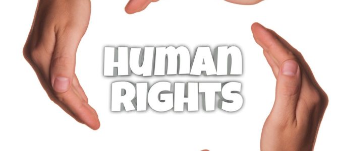 „2020: Die Bedeutung der Menschenrechte in einem herausfordernden Jahr“ – Spannender Zoom-Talk mit Experte Manfred Nowak!